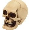2er Set Graveyard Totenschädel Medium -Halloween-Requisitenladen 2er set graveyard totenkopf medium graveyard skull 2pc set medium totenschaedel kaufen 52350 01 1