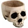 Antike Totenschädel Schale 470ml -Halloween-Requisitenladen antike totenkopf schale antike totenschaedelschale antic skull bowl 51433 01