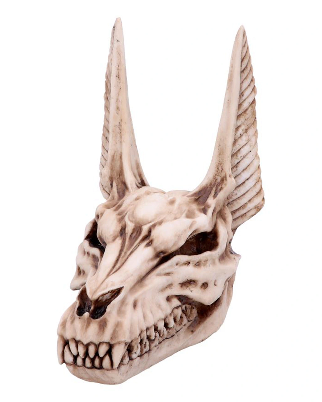 Anubis Totenschädel Figur 17cm 4 Anubis Totenschädel Figur 17cm – Bild 2