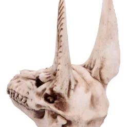Anubis Totenschädel Figur 17cm 9 Anubis Totenschädel Figur 17cm -Halloween-Requisitenladen anubis totenkopf figur anubis totenschaedel figur anubis skull figurine 51020 03