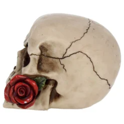 Beiger Totenschädel Mit Roter Rose 15cm -Halloween-Requisitenladen beiger totenkopf mit roter rose beiger totenschaedel mit roter rose antic skull with red rose 53389 03