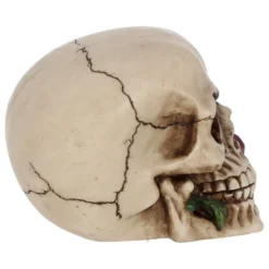 Beiger Totenschädel Mit Roter Rose 15cm -Halloween-Requisitenladen beiger totenkopf mit roter rose beiger totenschaedel mit roter rose antic skull with red rose 53389 06