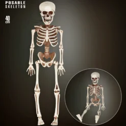 Bewegliches Skelett Gerippe 40cm