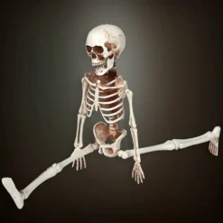 Bewegliches Skelett Gerippe 40cm -Halloween-Requisitenladen bewegliches skelett 40cm posable skeleton 40cm halloween deko skelett deko 52010 03