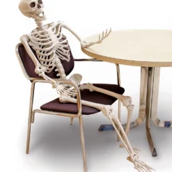 Biegsames Skelett 160cm