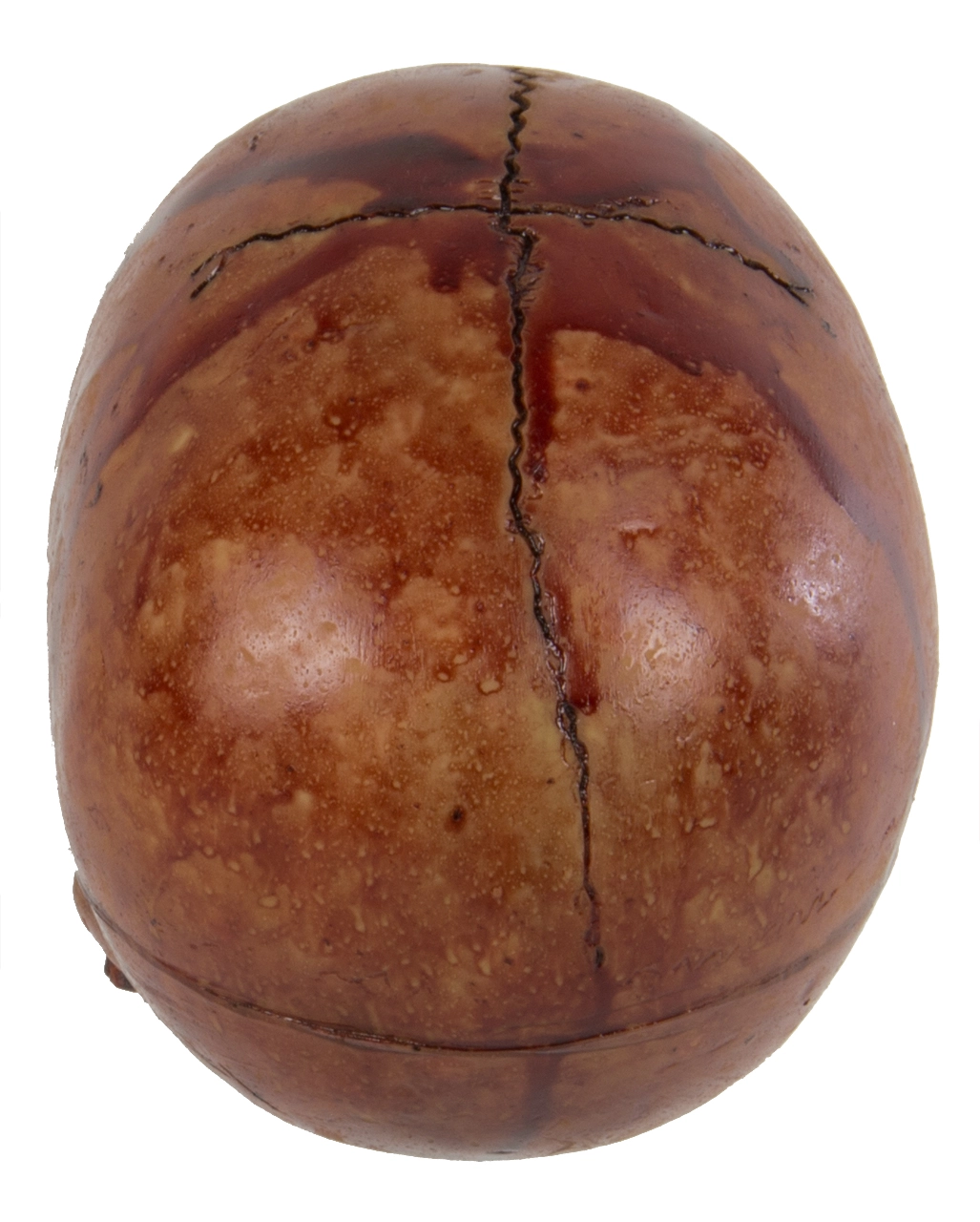 Blutiger Skull Mit Beweglichem Kiefer 5 Blutiger Skull Mit Beweglichem Kiefer – Bild 3