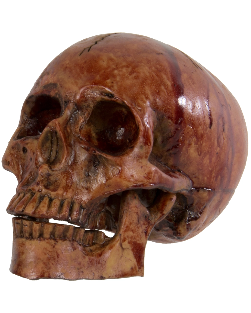 Blutiger Skull Mit Beweglichem Kiefer 3 Blutiger Skull Mit Beweglichem Kiefer