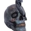 Schuppige Schlange In Totenkopf 19cm 1 Schuppige Schlange In Totenkopf 19cm -Halloween-Requisitenladen das schicksal der schlange gothic schaedel 19cm serpentine fate gothic snake skull gothic deko totenkopf 53993
