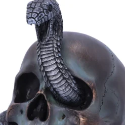 Schuppige Schlange In Totenkopf 19cm -Halloween-Requisitenladen das schicksal der schlange gothic schaedel 19cm serpentine fate gothic snake skull gothic deko totenkopf 53993 5