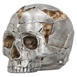 Fraktur Totenschädel 16cm -Halloween-Requisitenladen fracture totenkopf fracture totenschaedel fracture skull gothic deko 54583 04