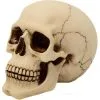 Graveyard Totenschädel Large -Halloween-Requisitenladen graveyard totenkopf large graveyard totenschaedel graveyard skull large gothic deko 52351 01