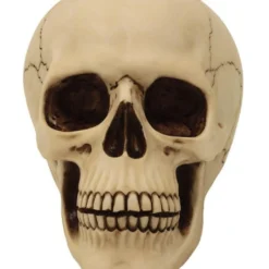 Graveyard Totenschädel Large 7 Graveyard Totenschädel Large -Halloween-Requisitenladen graveyard totenkopf large graveyard totenschaedel graveyard skull large gothic deko 52351 02