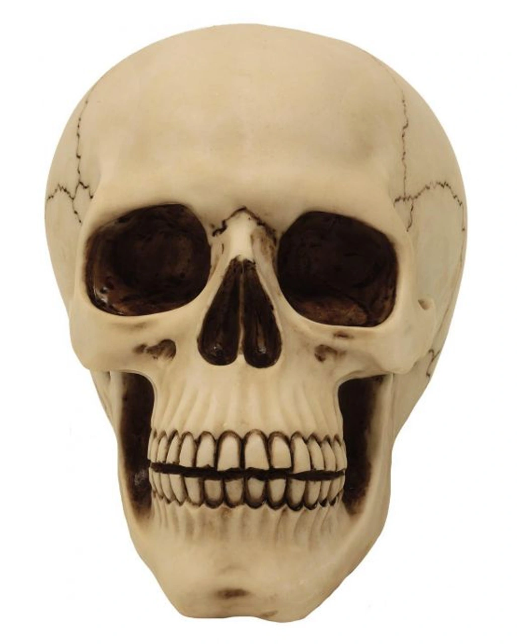 Graveyard Totenschädel Large 5 Graveyard Totenschädel Large – Bild 3