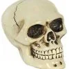 Schaltknauf Totenschädel 1 Schaltknauf Totenschädel -Halloween-Requisitenladen horrorshop.com autoknauf totenkopf totenschaedel schaltknauf totenkopf sammlerfigur 27091