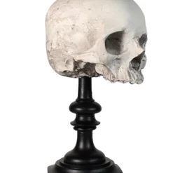 J. DOE Totenschädel Auf Sockel 20cm -Halloween-Requisitenladen j doe totenkopf auf sockel j doe totenschaedel auf sockel j doe skull plinth gothic homware 54857 01