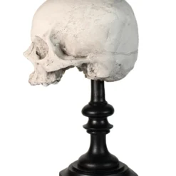 J. DOE Totenschädel Auf Sockel 20cm -Halloween-Requisitenladen j doe totenkopf auf sockel j doe totenschaedel auf sockel j doe skull plinth gothic homware 54857 02