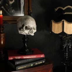 J. DOE Totenschädel Auf Sockel 20cm -Halloween-Requisitenladen j doe totenkopf auf sockel j doe totenschaedel auf sockel j doe skull plinth gothic homware 54857 05