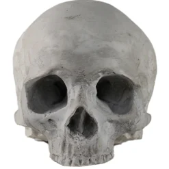 J. DOE Totenschädel 17cm 7 J. DOE Totenschädel 17cm -Halloween-Requisitenladen j doe totenkopf j doe totenschaedel ghotic totenkopf gothic wohnaccessoire gothic homware 54856 03