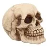 Kleiner Grinsender Totenkopf 12cm -Halloween-Requisitenladen kleiner grinsender totenschaedel small joker skull totenkopf dekoration gothic deko 50730 01