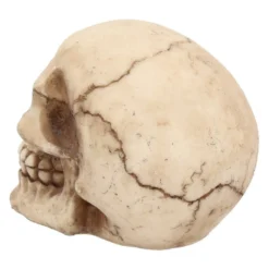 Kleiner Grinsender Totenkopf 12cm -Halloween-Requisitenladen kleiner grinsender totenschaedel small joker skull totenkopf dekoration gothic deko 50730 04