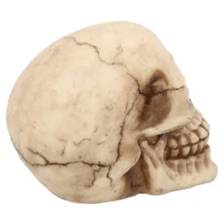 Kleiner Grinsender Totenkopf 12cm -Halloween-Requisitenladen kleiner grinsender totenschaedel small joker skull totenkopf dekoration gothic deko 50730 06