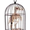 Raben Skelett Im Käfig 1 Raben Skelett Im Käfig -Halloween-Requisitenladen kraehen skelett im kaefig raben skelett im kaefig skeleton crow in cage 39341 01
