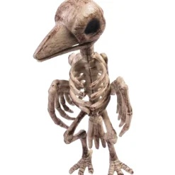 Raben Skelett Mit Knochengerippe