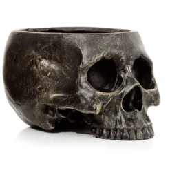 Marmorierter Gothic Totenschädel Pflanzentopf 13 Marmorierter Gothic Totenschädel Pflanzentopf -Halloween-Requisitenladen marmorierter gothic totenkopf pflanzenschale gothic totenschaedel pflanzenschale gothic skull plant pot 54615 06