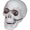 Mini Totenkopf Mit Beweglichem Kiefer -Halloween-Requisitenladen mini totenkopf mit beweglichen kiefer halloween deko totenschaedel kaufen 19636 01