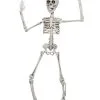 Positionierbares Knochengerippe 50cm -Halloween-Requisitenladen positionierbares knochenskelett flexibles knochengerippe poseable skeleton halloween dekoration 39604 01