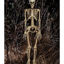 Bewegliches Knochenskelett 90cm 7 Bewegliches Knochenskelett 90cm -Halloween-Requisitenladen positionierbares knochenskelett halloween deko skelett mit beweglichen gelenken halloween und horror deko 52003 2