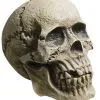 Verwitterter Skull Totenkopf -Halloween-Requisitenladen rotting skull totenschaedel verwitterter totenkopf halloween deko 28000