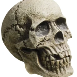 Verwitterter Skull Totenkopf