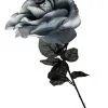 Schwarz/Graue Rose Mit Auge 1 Schwarz/Graue Rose Mit Auge -Halloween-Requisitenladen schwarz rote rose mit augapfel schwarz rote rose mit auge black red rose with eyeball 39095 04