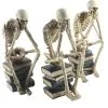 Skelette Auf Bücher Sitzend 3 Stück Als Set 35cm -Halloween-Requisitenladen skelette auf buecher sitzend skeleton sitting on books skelett deko 54789 01