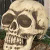 Totenschädel 32cm -Halloween-Requisitenladen totenkopf 32cm totenschaedel halloween dekoration skull decoration 35978