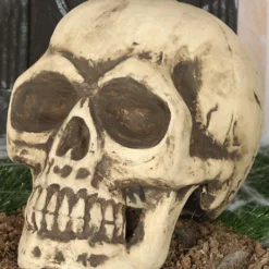 Totenschädel 32cm