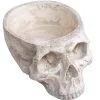 Totenschädel Schale 28cm -Halloween-Requisitenladen totenkopf schale totenschaedel schale skull planter totenkopf dekoration 51403 01