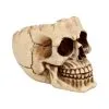 Realistische Totenschädel Schale Mit Offener Schädeldecke -Halloween-Requisitenladen totenschaedel schale mit offener schaedeldecke realistic skull mug morbide gothic deko halloween deko totenschaedel 39289