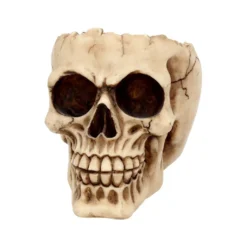 Realistische Totenschädel Schale Mit Offener Schädeldecke -Halloween-Requisitenladen totenschaedel schale mit offener schaedeldecke realistic skull mug morbide gothic deko halloween deko totenschaedel 39289 3