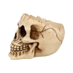Realistische Totenschädel Schale Mit Offener Schädeldecke -Halloween-Requisitenladen totenschaedel schale mit offener schaedeldecke realistic skull mug morbide gothic deko halloween deko totenschaedel 39289 4