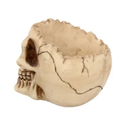 Realistische Totenschädel Schale Mit Offener Schädeldecke -Halloween-Requisitenladen totenschaedel schale mit offener schaedeldecke realistic skull mug morbide gothic deko halloween deko totenschaedel 39289 5